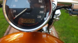 Motocicleta HARLEY DAVIDSON SPORTSTER 1200 CUSTOM - 2016 - 20000 km, 70 Cp - Dolj